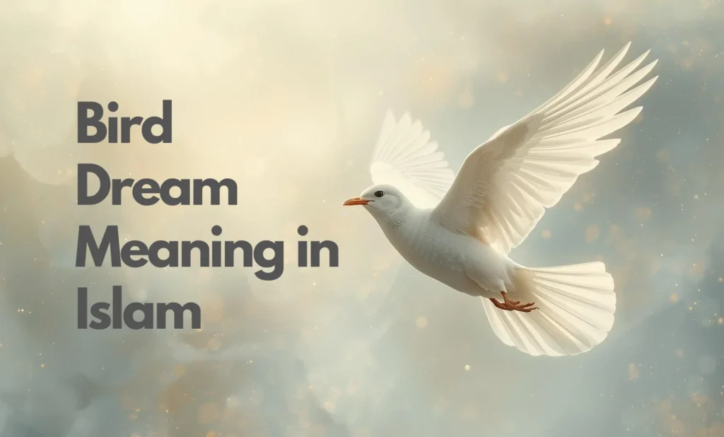Bird Dream Meaning in Islam