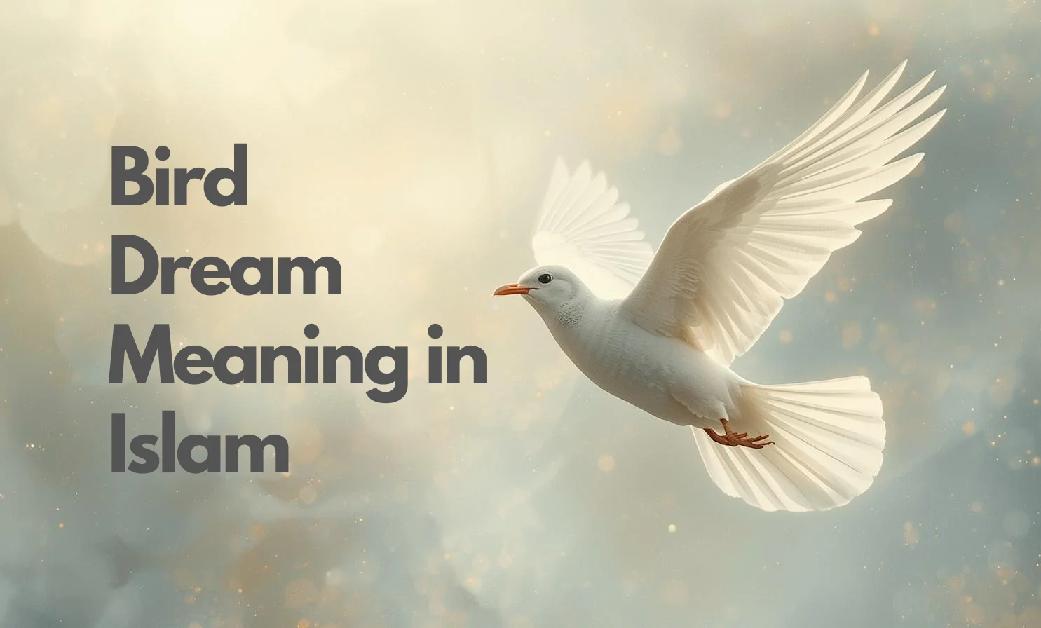 Bird Dream Meaning in Islam